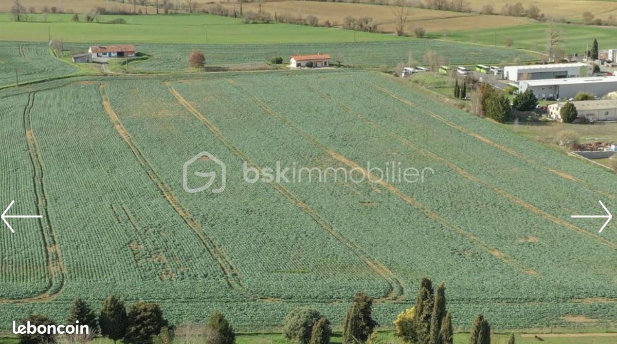 Terrain 1 269 m² Dremil Lafage (image 3)