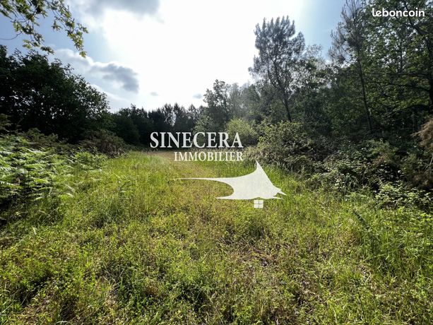 Terrain 9055 m² Mios