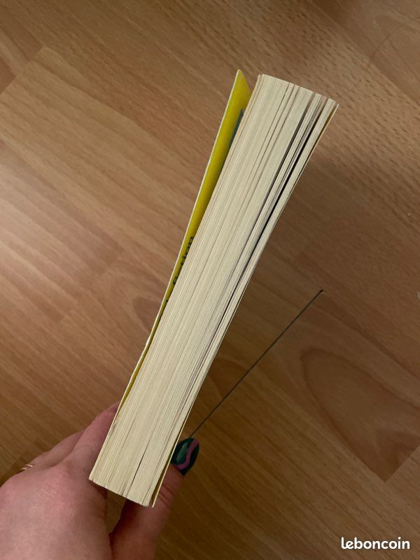 Livres « Les sorcières du clan du Nord » (image 4)