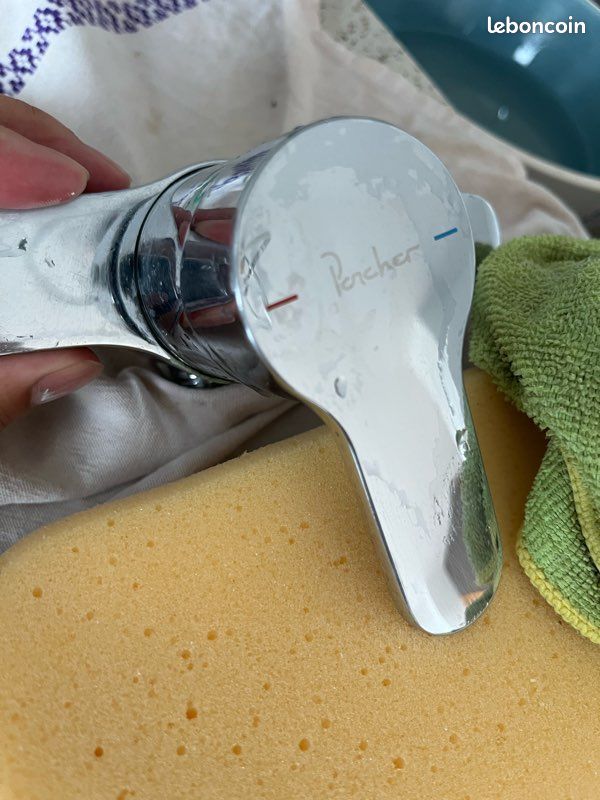 Mitigeur de douche porcher (image 1)