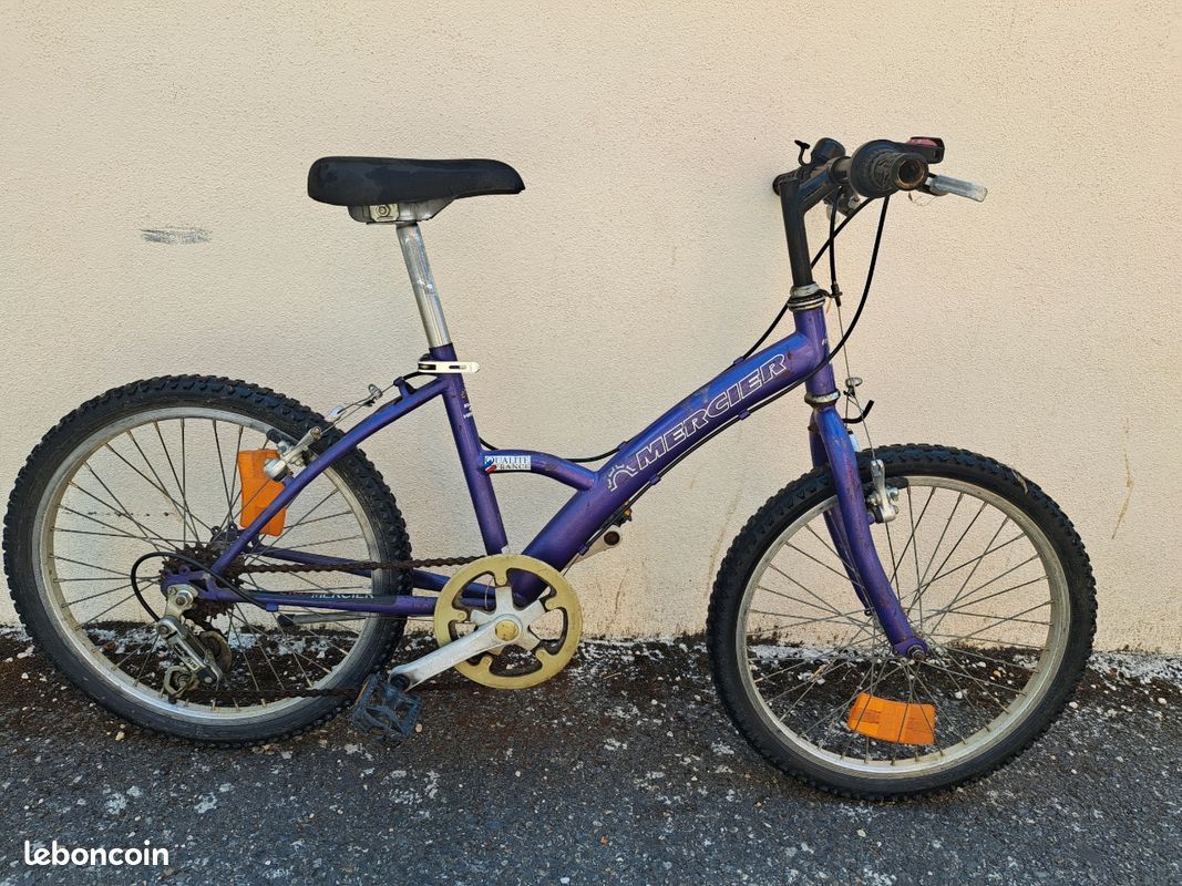 Bicyclette Velo 21 Pouces Age Vélo VTT Enfant Pour 12 13 Ans