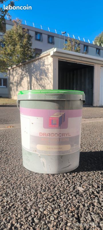 Peinture professionnelle (image 2)