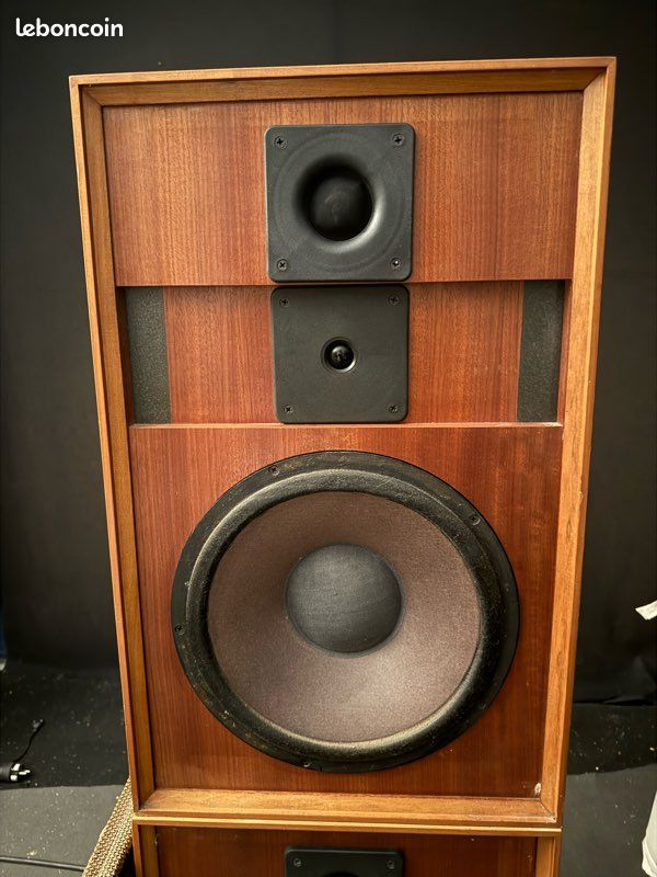 Enceinte Cabasse Boomer 30 Cm – Vintage 30s (fonctionnelle)