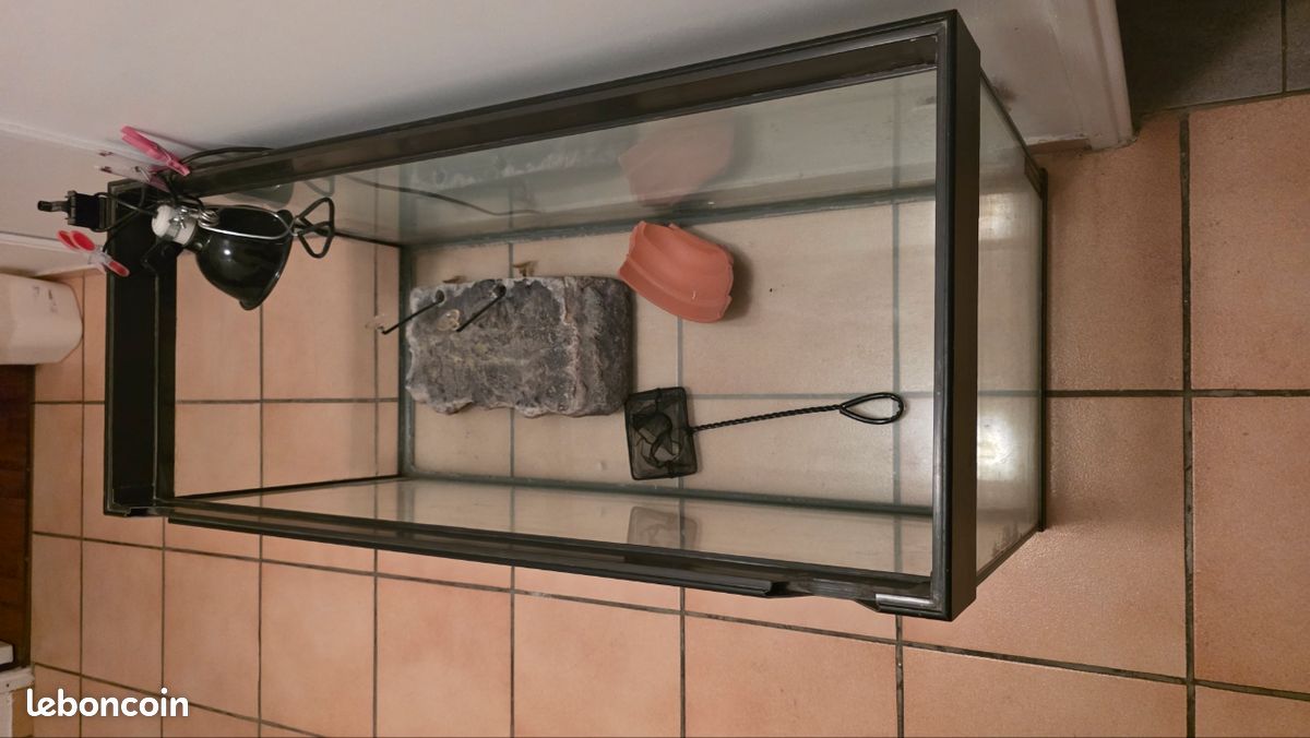 Terrarium (image 3)