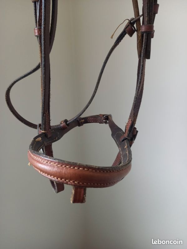 Cwell Equine Bride Mexicaine en Cuir et Cristal avec rênes Noir/Marron