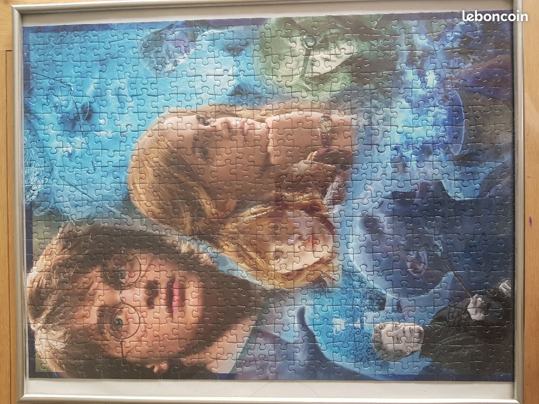 2 Puzzles Harry Potter 500 pièces (image 2)