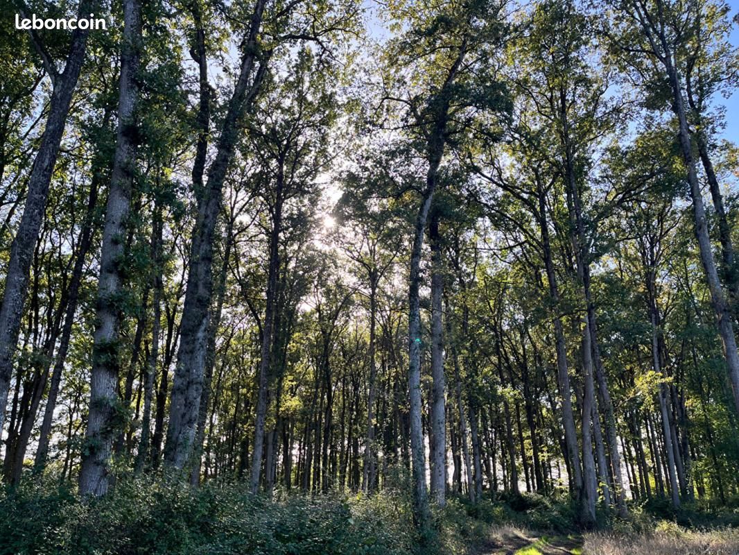 Terrain 64000 m² · à Lencloître · 40 000 €
