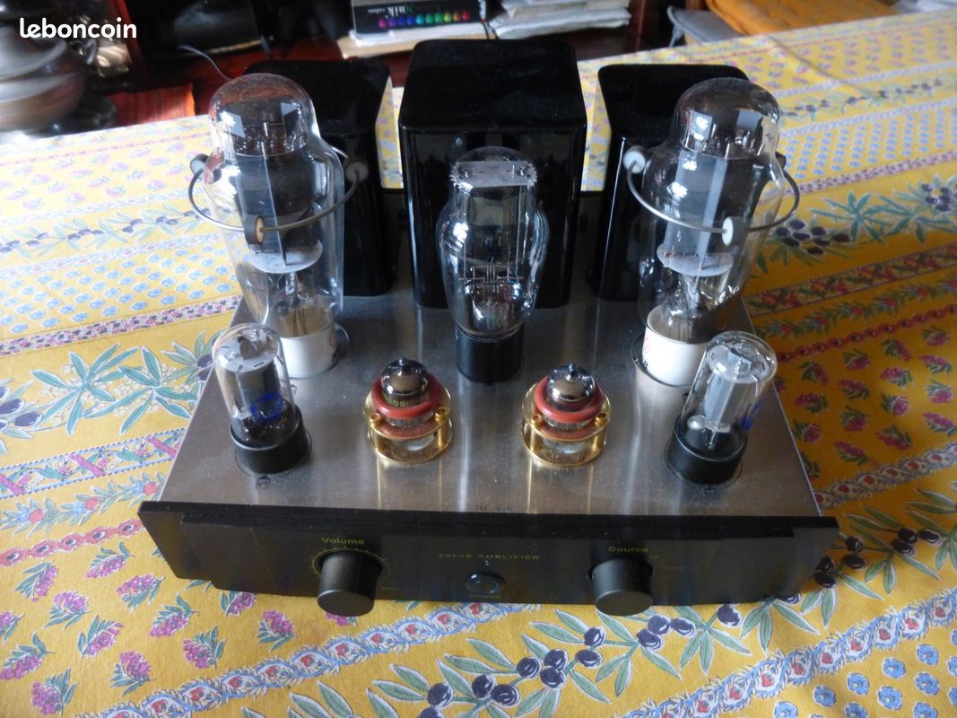 Ampli tube 300b (image 1)