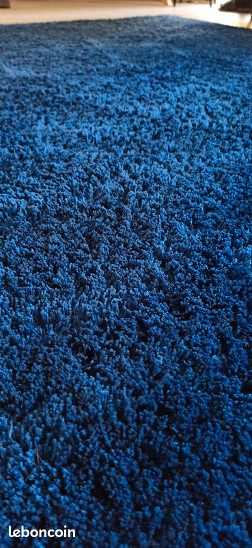 Tapis bleu (image 2)