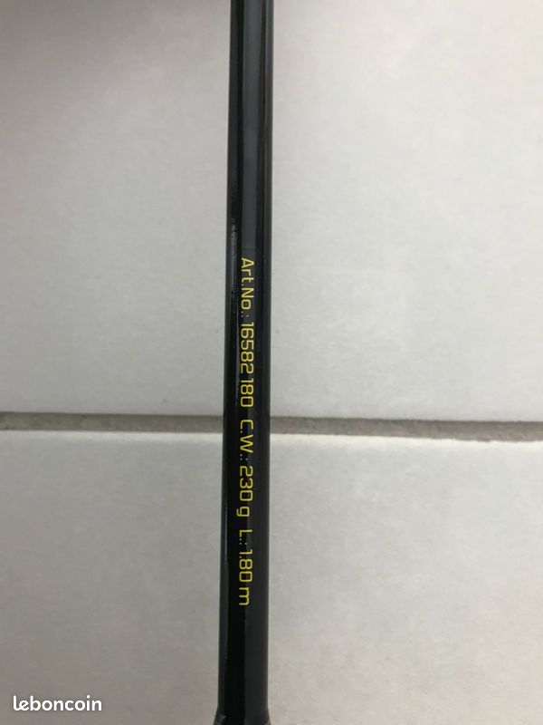 Canne Silure Perfect Passion Vertical de chez Black Cat (image 1)