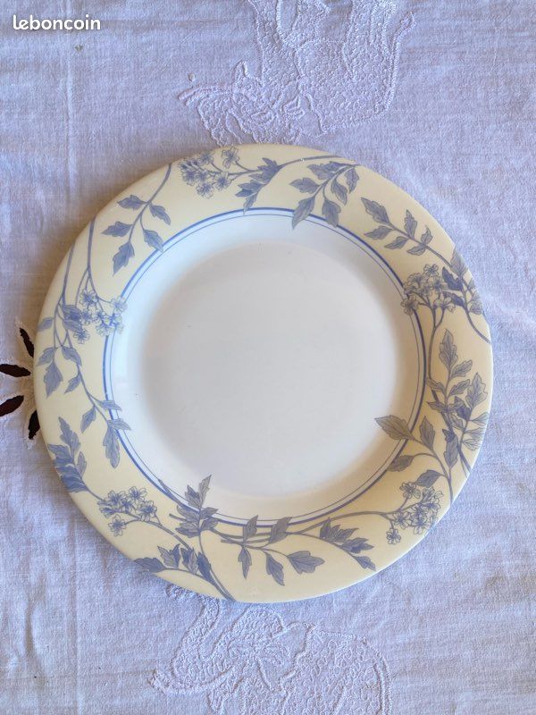 6 assiettes plates Arcopal (image 3)