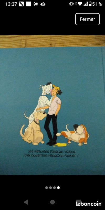 Bd tibod dogsitter (image 5)