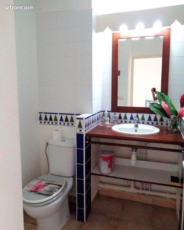 Vacances Idéales: Gosier F2&F3 (2 apparts en duplex avec jardin et piscine dans résidence sécurisée) avec citernes pour palier aux coupures d'eau (image 9)