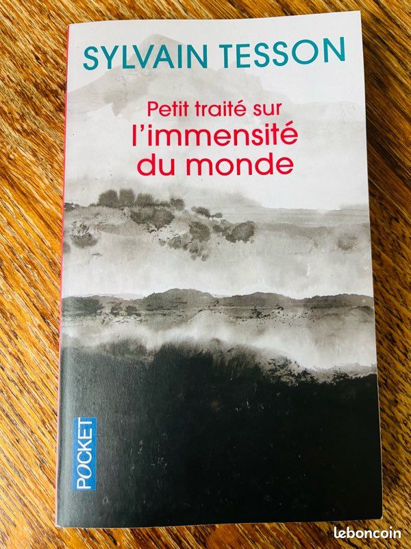 Petit traité sur l’immensité du monde Sylvain tesson (image 1)