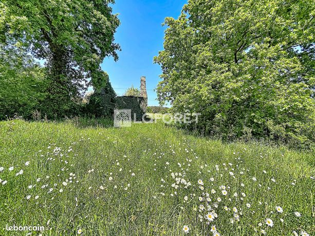 Terrain 2290 m² LANGON