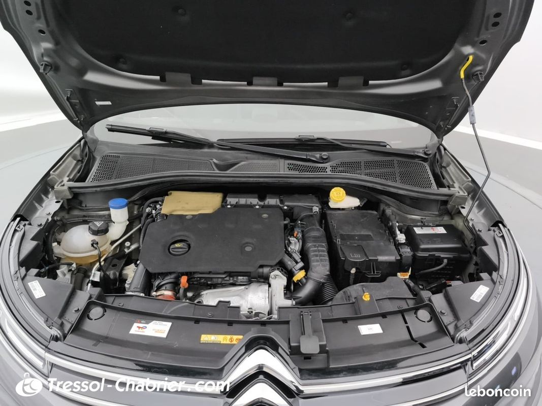 CITROEN C4 Cactus BlueHDi 100 S&S BVM6 Shine (image 27)
