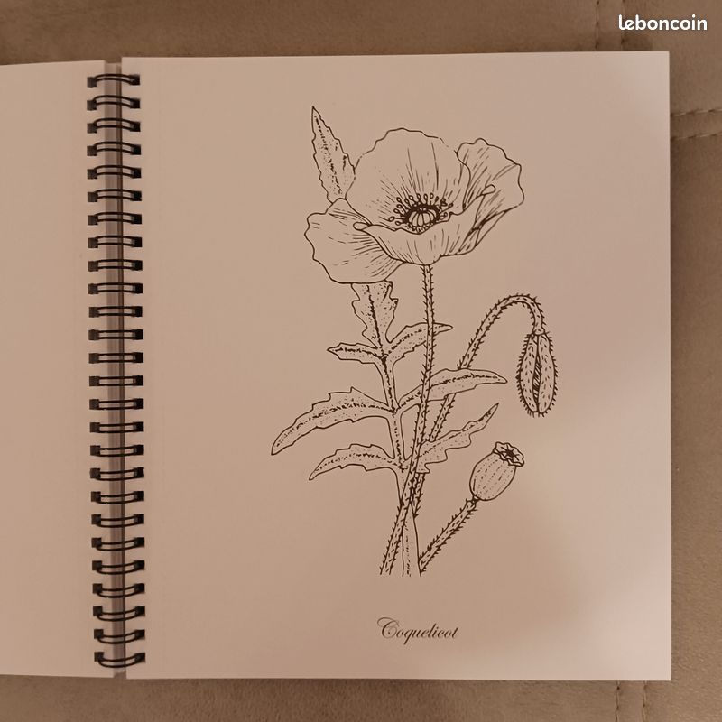 Livre de coloriage botanique (image 4)