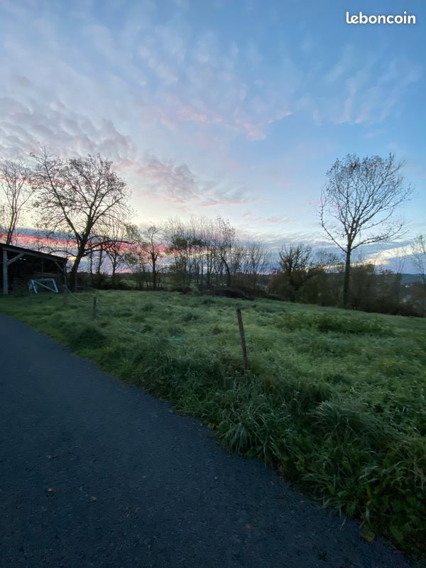 Terrain plat à vendre · à Cosnac · 60 000 €