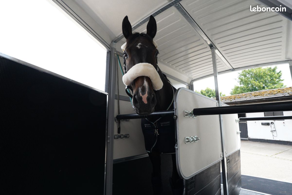 Ifor WILLIAMS HB511 "grand chevaux" DISPONIBLE (image 9)