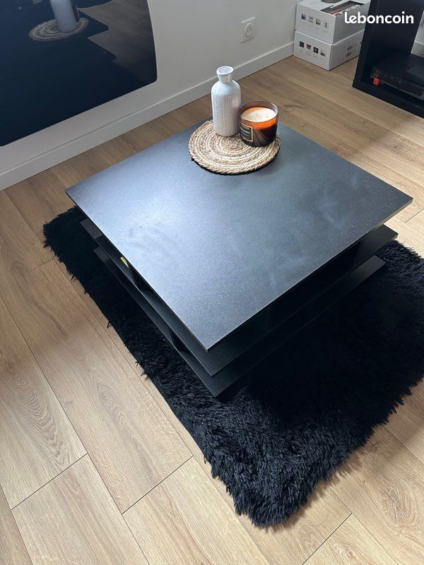 Table basse + tapis (image 3)