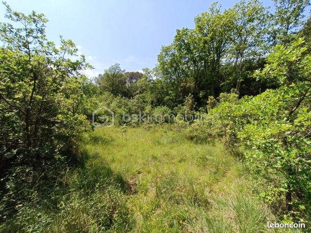 Terrain agricole 1 770 m² La Capelle Et Masmolene