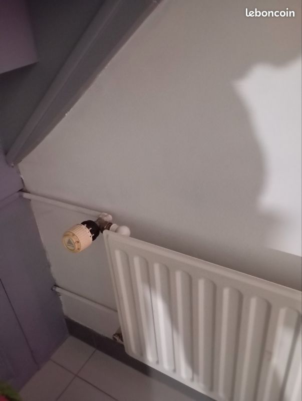 Radiateur (image 1)