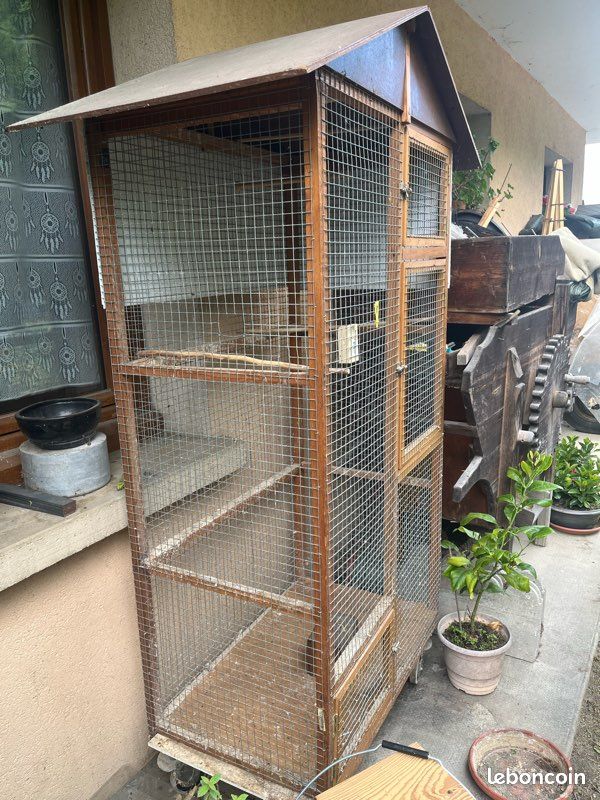 Cage oiseaux (image 1)