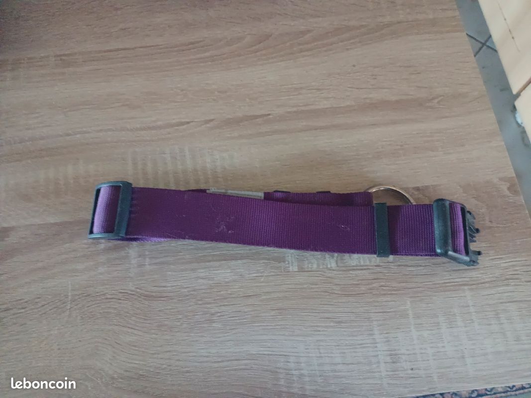 Collier violet épais chien (image 1)