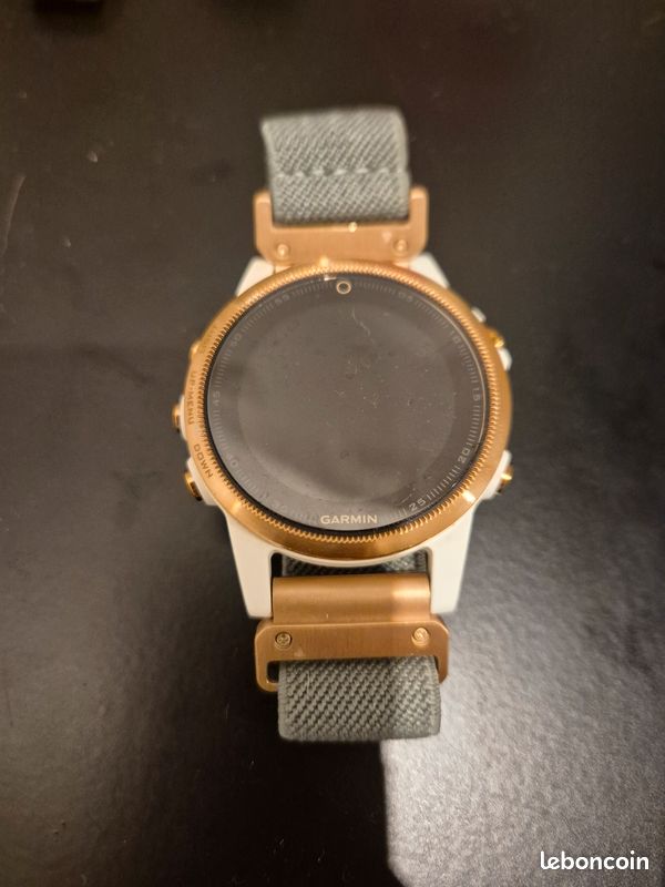 Montre Garmin fenix 5s (image 1)