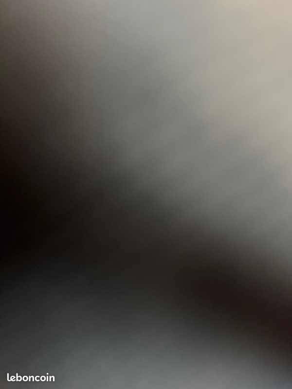 Short ralph lauren M (image 1)