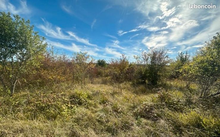 Terrain 54 415 m² Fouleix
