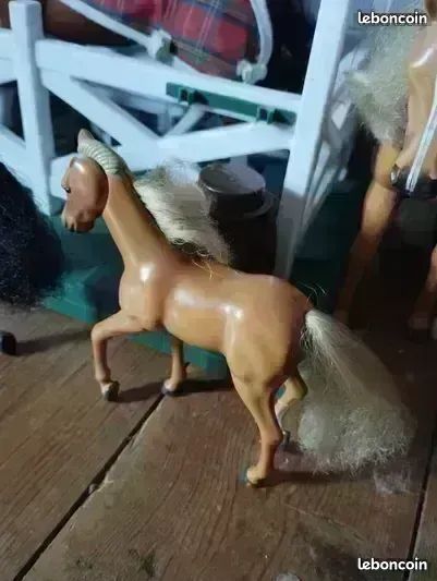 Lot chevaux et poulain (image 2)