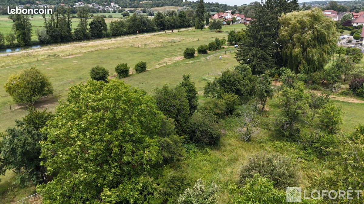 Terrain 1172 m² · à Zillisheim · 1 172 m² · 275 300 €