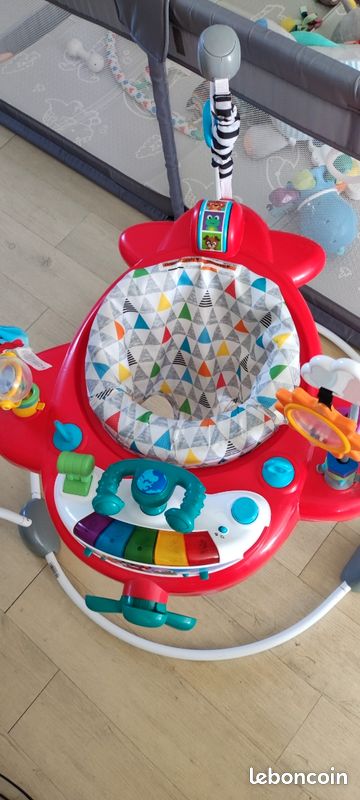 Sauteur baby Einstein (image 2)