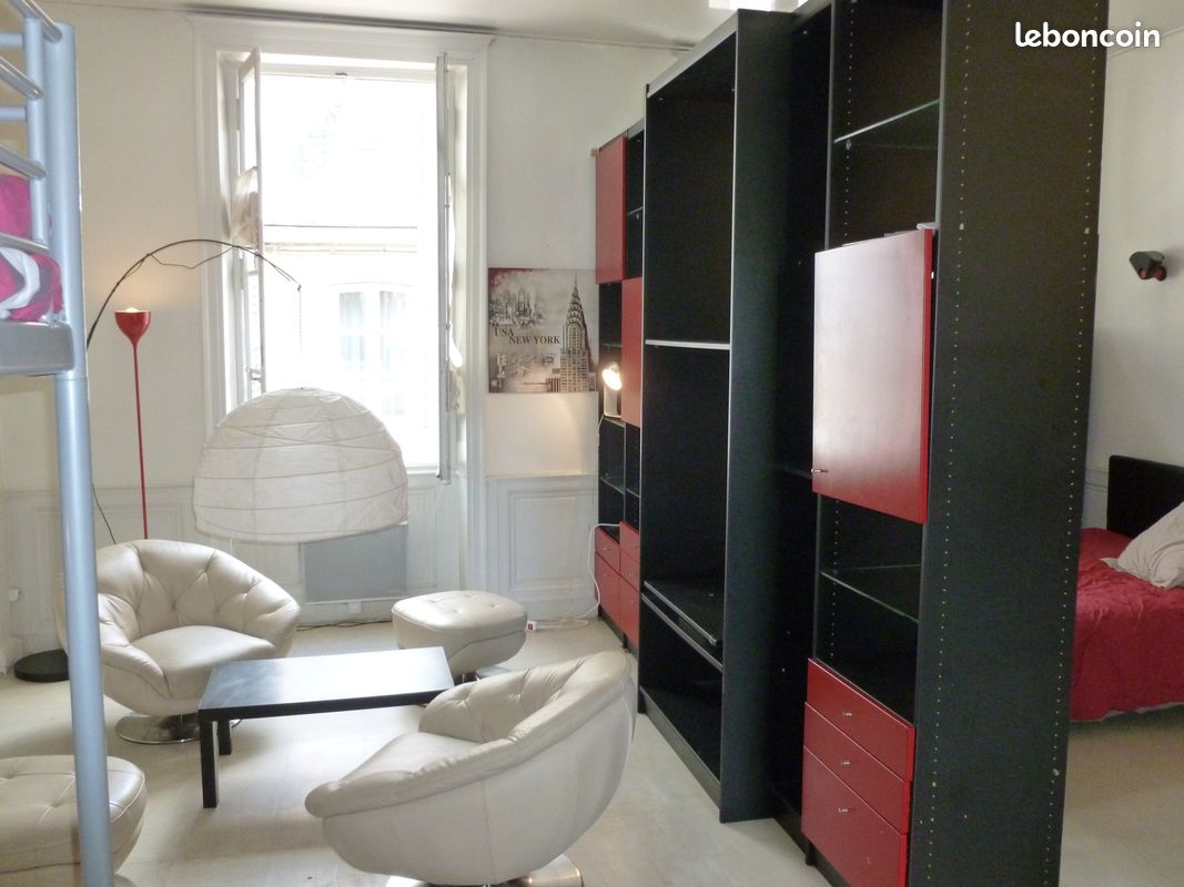Loft meubléT2 Poitiers hyper centre wifi - Poitiers 86000 (image principale 2)