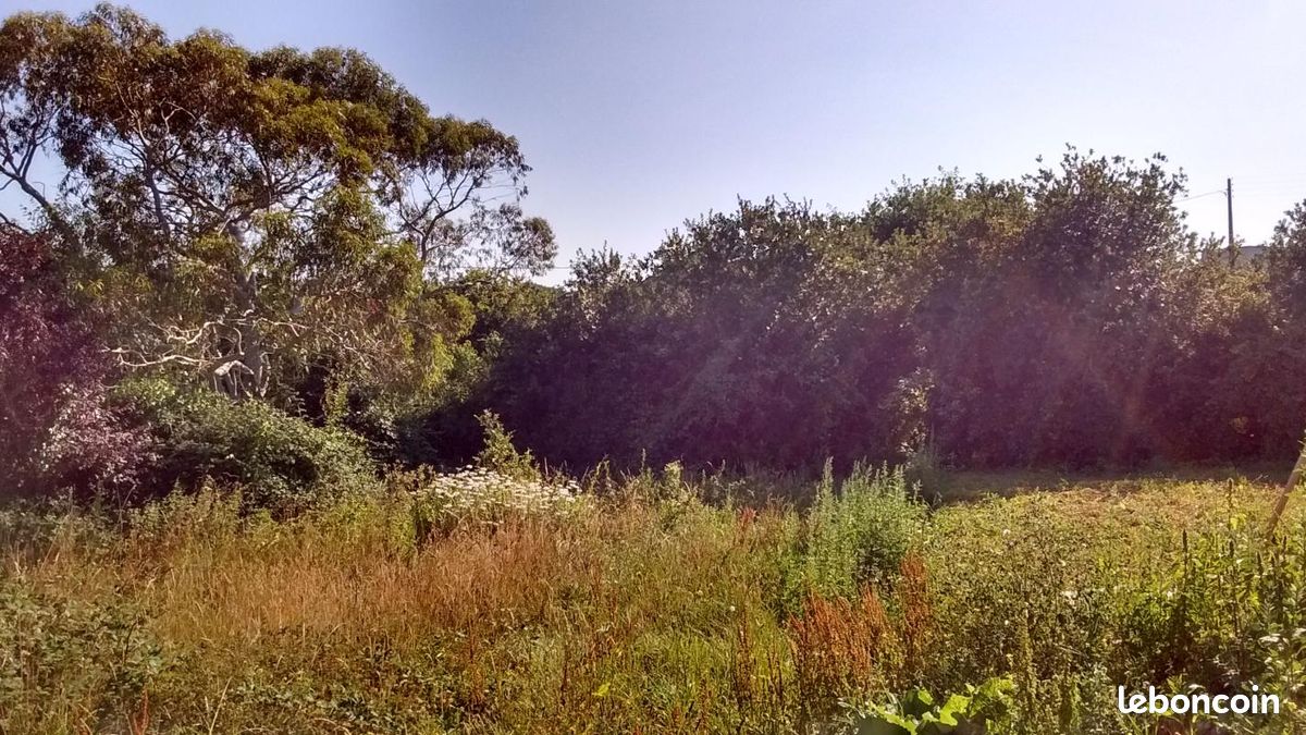 Terrain 370 m² · à Saint-Renan · 79 000 €