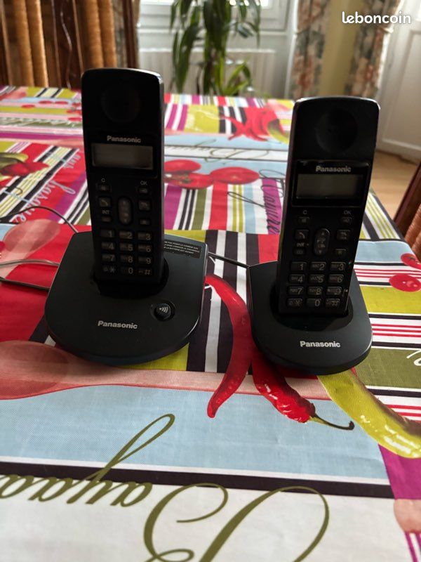 Duo téléphone Panasonic KX-TG1070FR (image 1)