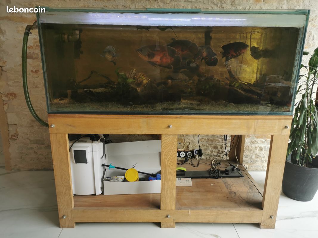 Aquarium 700L complet (image 9)