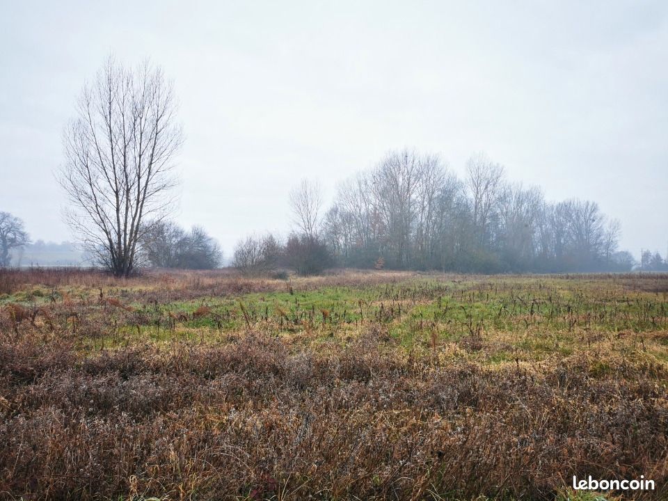 Terrain 591 m² · à Viterbe · 50 000 €