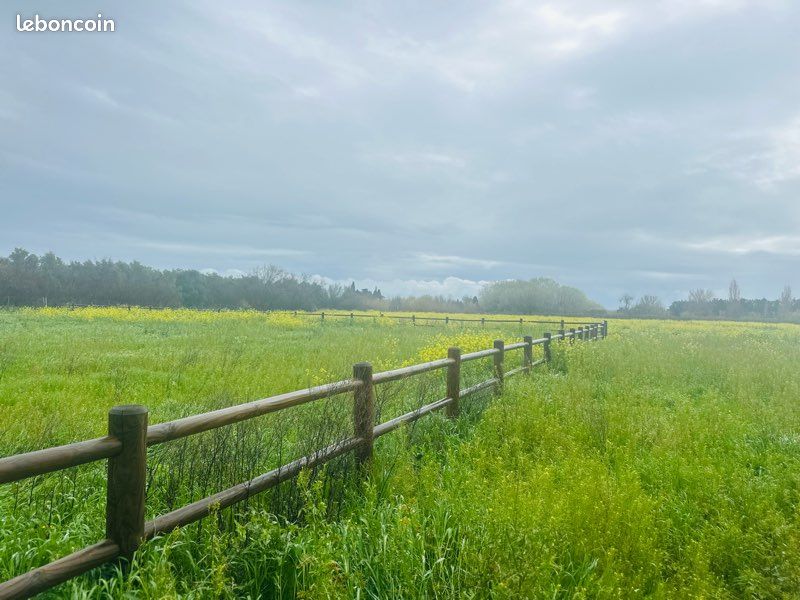 Terrain agricole clôturé (image 1)