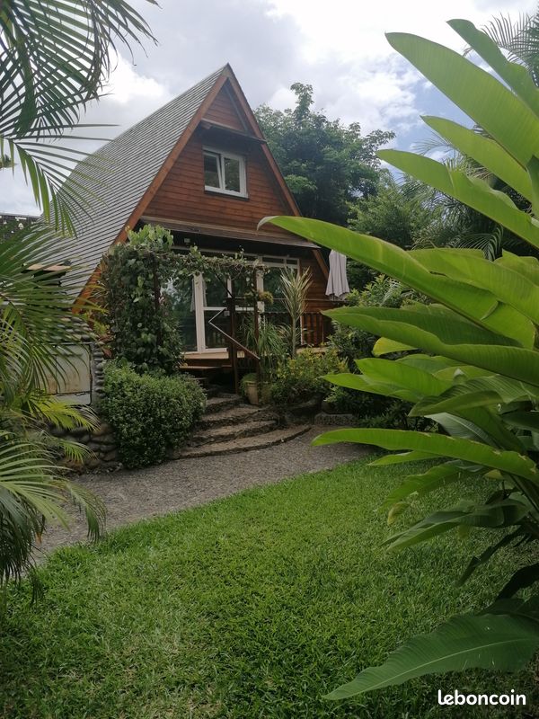 Chalet tillandsia (image 1)