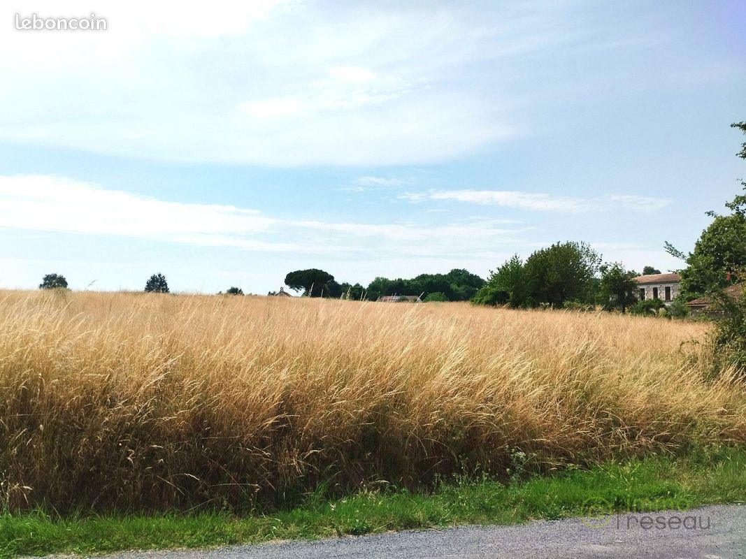 Terrain 1000 m² MERIGNAC · à Mérignac · 12 000 €