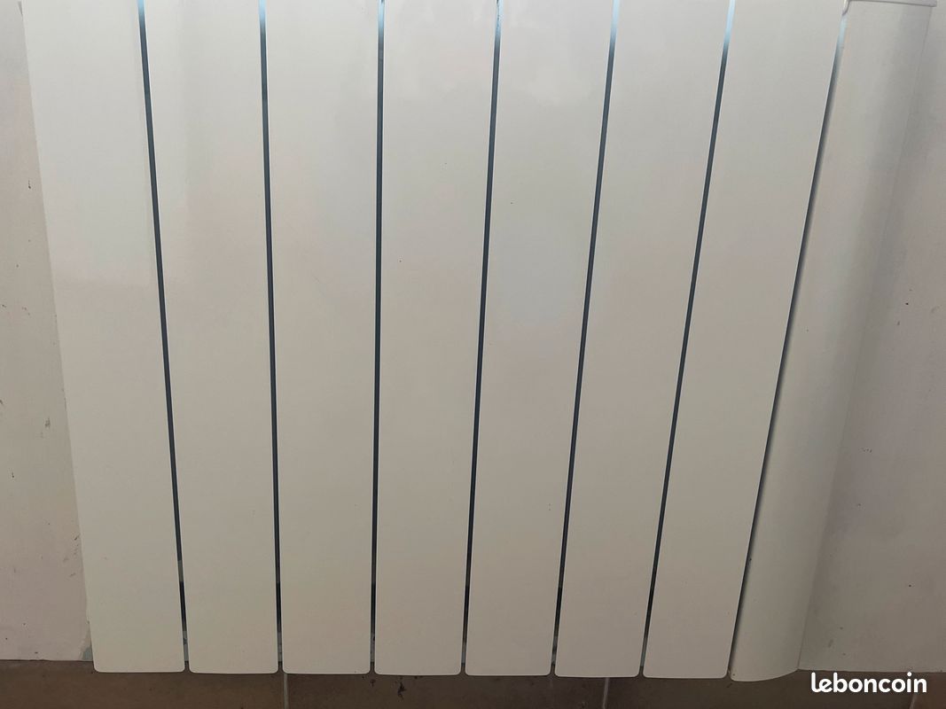 Supraenergy radiateur primo1000 (image 4)