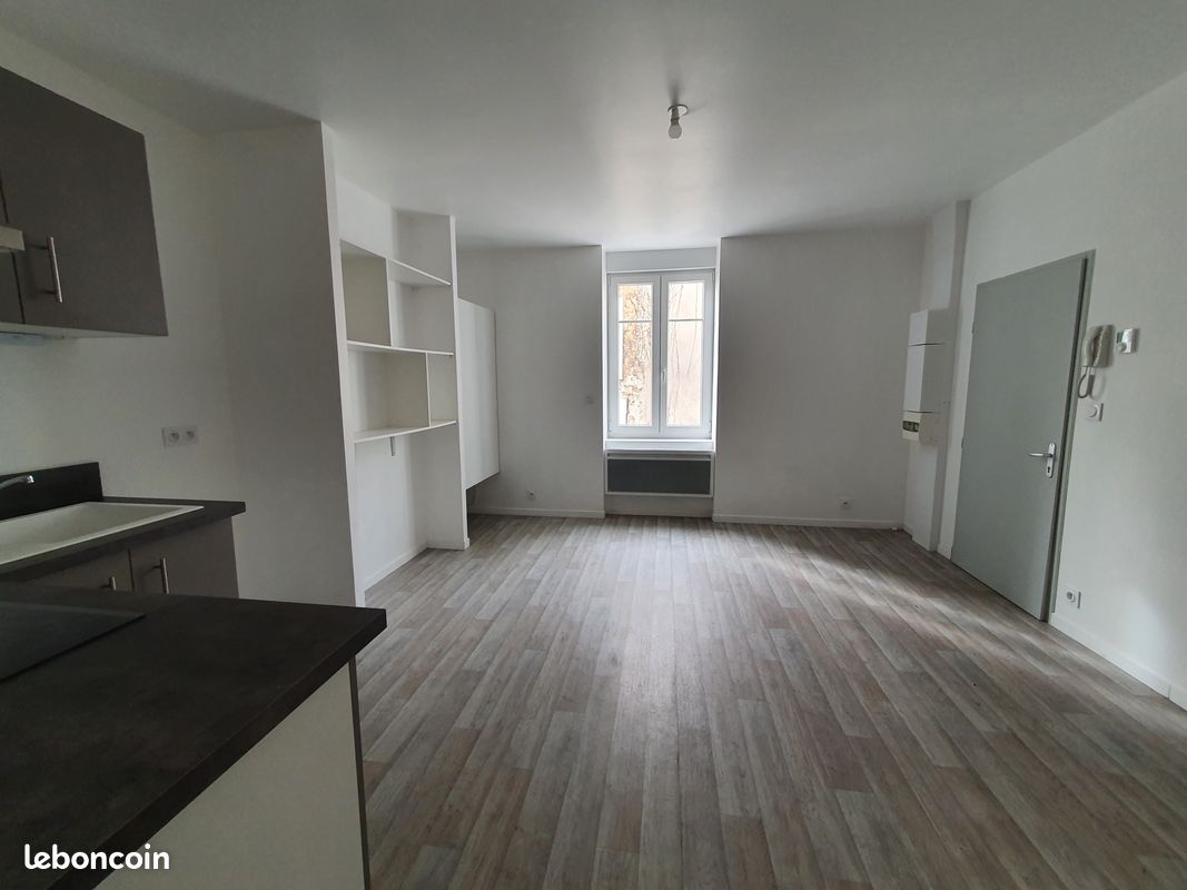 Appartement 2 pièces, rénové. Limoges - Limoges 87000 (image principale 1)