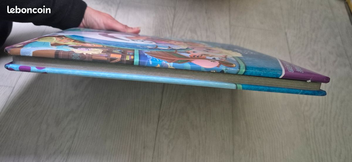 Cherche et trouve la reine des neiges - Livres