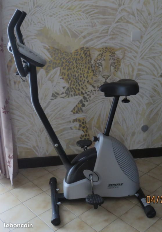 Vélo Elliptique (image 1)