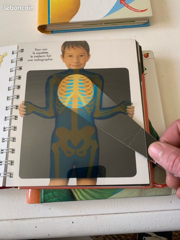 Vends superbes livres enfants Gallimard (image 2)