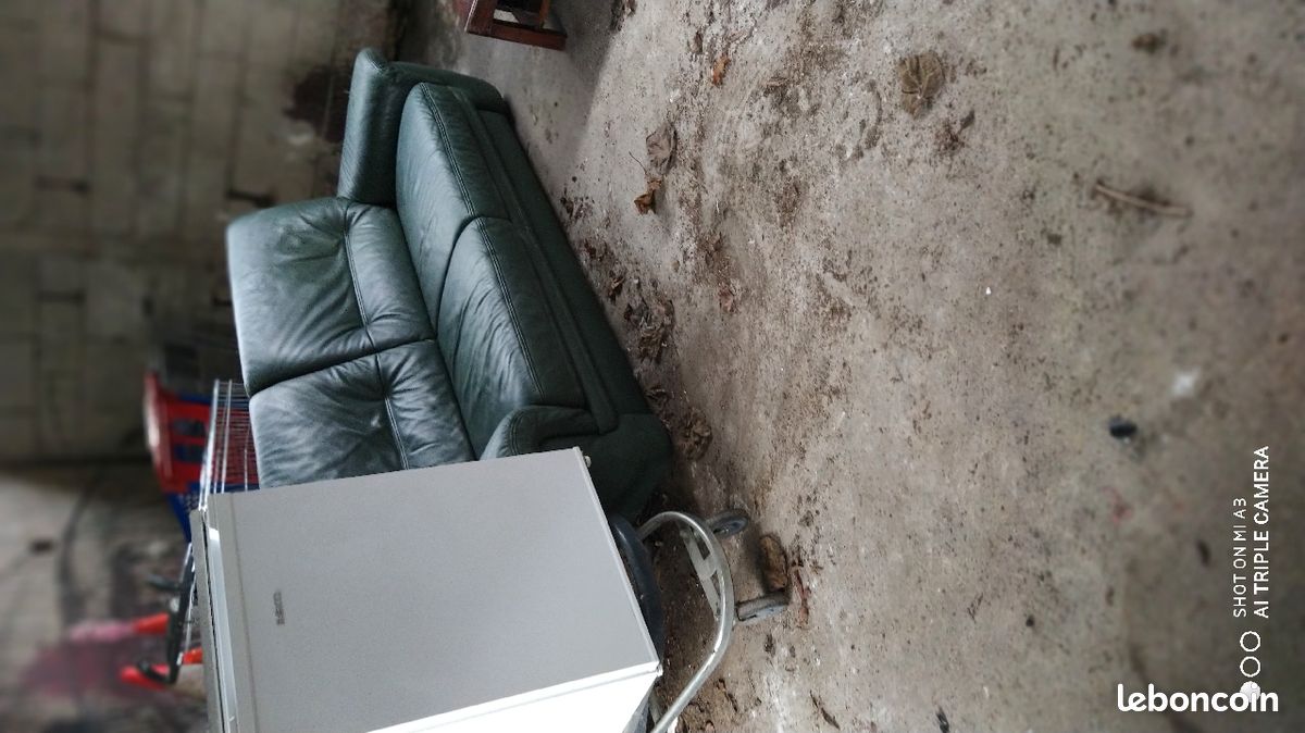 Fauteuil en cuir (image 3)