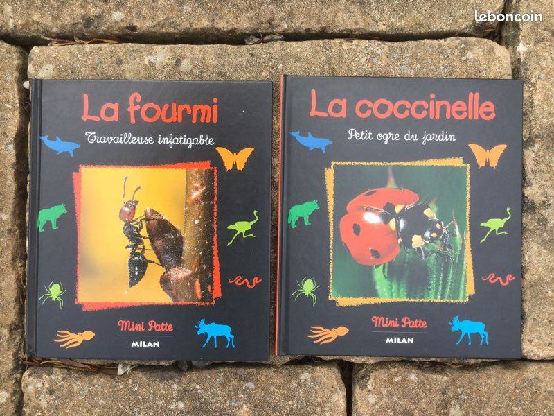 Lot de 2 livres “la Fourmi” et “la Coccinelle” (image 1)