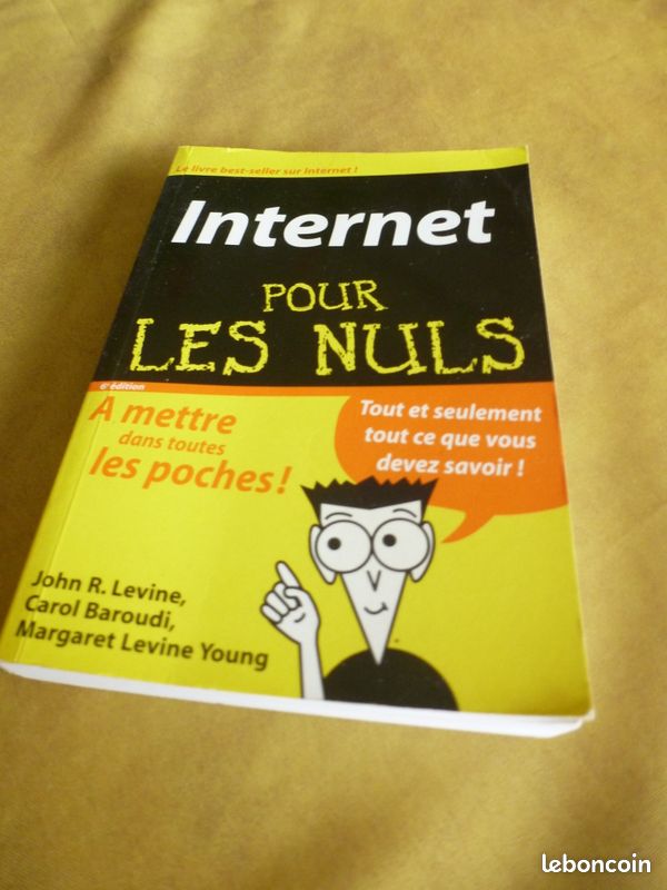 Livre Internet pour les nuls (image 1)